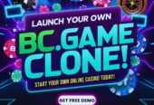 BC.Game Clone Script – A 1000X Magnification of the Crypto Casino Realm