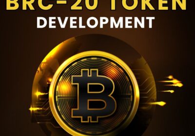 Plurance-BRC20-Token-Development-1