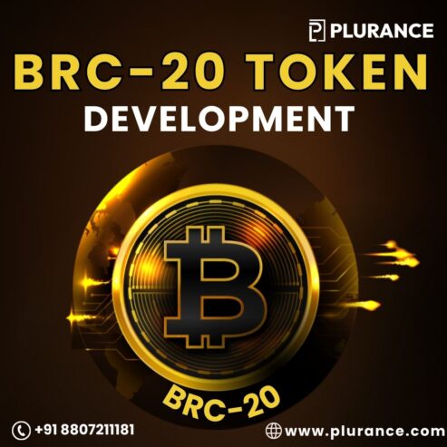 Create Your Own Feature-Rich BRC20 Token in 1 Day