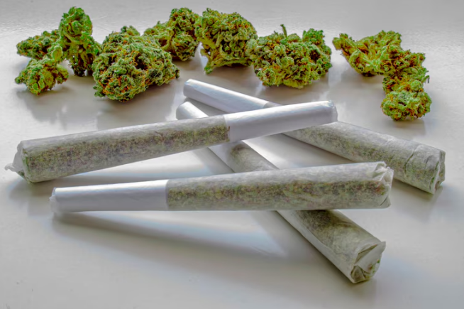 Discover the Best Weed Strains at Hidden Gym