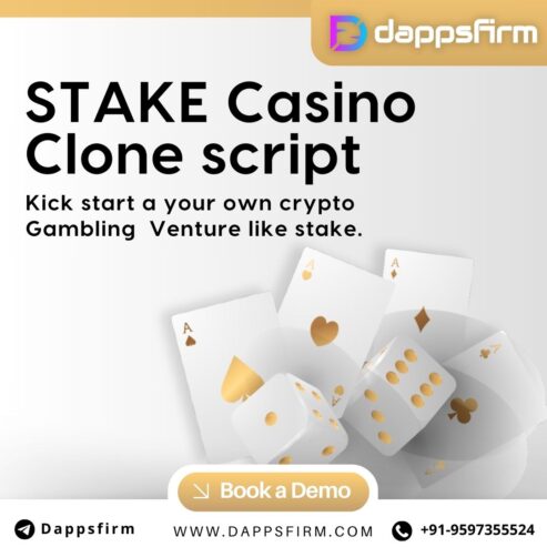 Quick and Affordable Stake Clone Script: Your Gateway to Online Casino Success