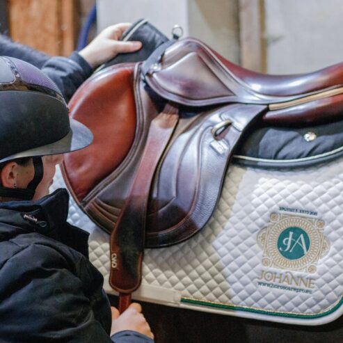 equestrian stores online