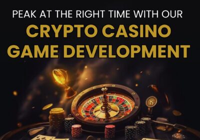 Plurance-Crypto-Casino-Game-Development-3