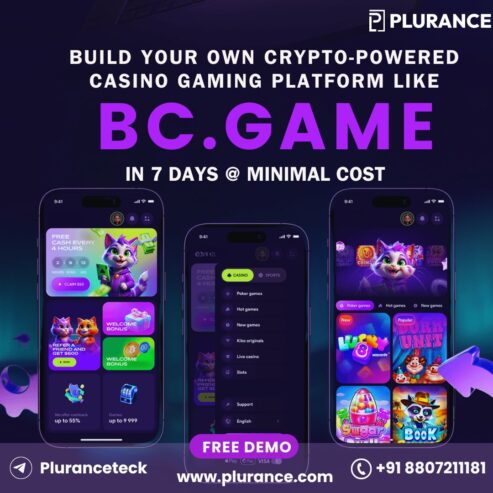 One Stop Solution To Create a Complete Crypto Casino Game like BC.Game