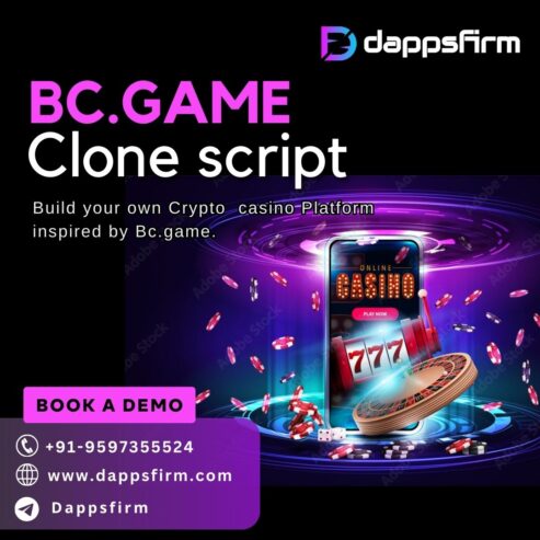 Affordable BC.Game Clone Script: Start Your Online Casino Journey Now!