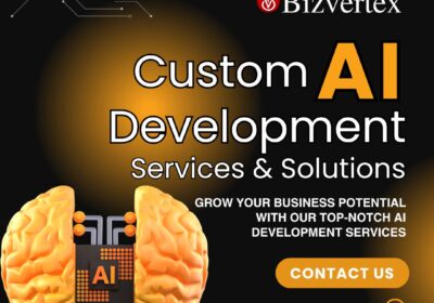 Bizvertex-AI-Development-2