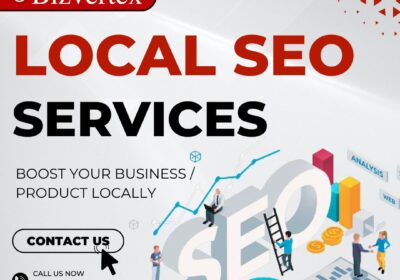 Bizvertex-Local-SEO-Services-1