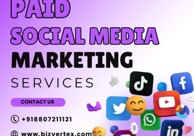 Bizvertex-Paid-Social-Media-Media-Marketing-Services