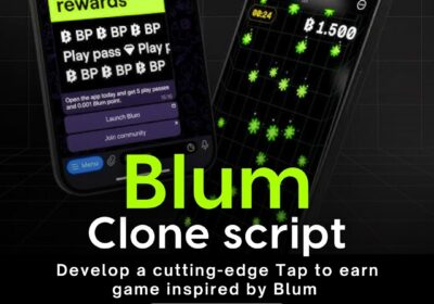 Blum-clone-script-