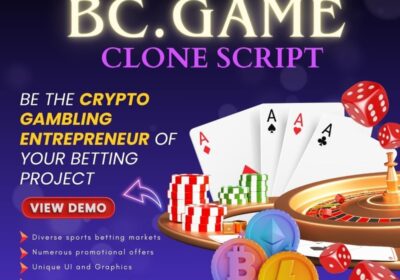 ready-made-bcgame-clone-script-img-1