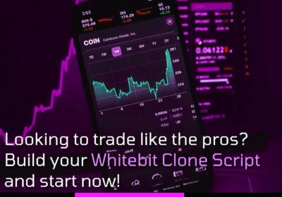 whitebit-clone-script-