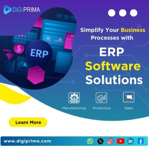 Advanced Custom ERP Software Development Services Company