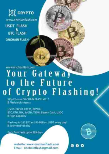 USDT Flash Sender Pro