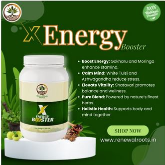 X Energy Booster – 100% Natural Ayurvedic Energy Supplement | Renewal Roots