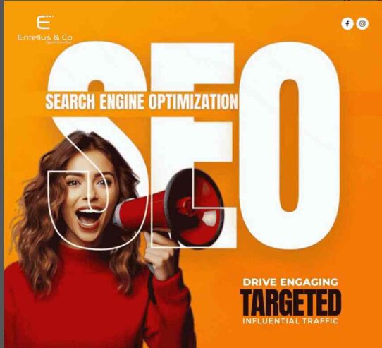 Professional SEO Services in Bangalore