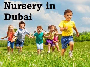 Nursery in Dubai – Your Ultimate Guide to Dubai Nurseries