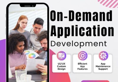 Bizvertex-On-Demand-Application-Development