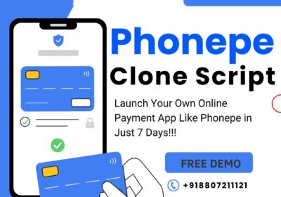 Bizvertex-Phonepe-Clone-Script-1