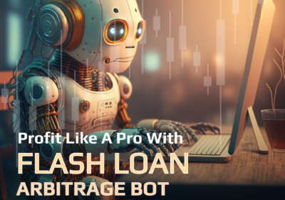 FLash-Loan-Bot-Developer