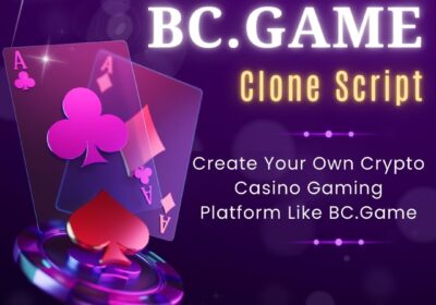 BC.Game-Clone-Script-03-01-2025-3