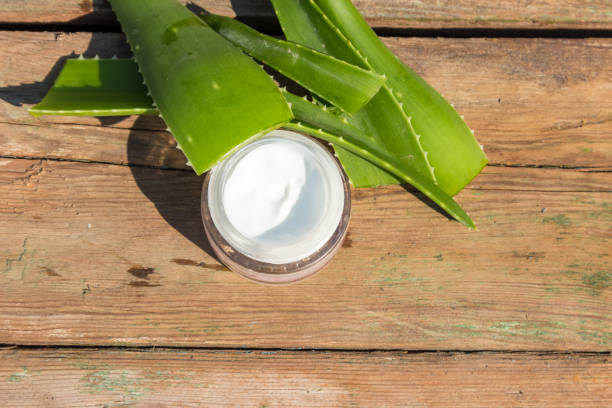 Trusted Aloe Vera Bulk Suppliers for Quality and Reliability