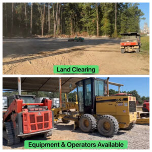 Most Selectable Tree Removal Service Provider in Mississippi