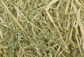 Buy Hay Stacks for Sale | Buy Hay Bales Online | Hay Bales For Sale