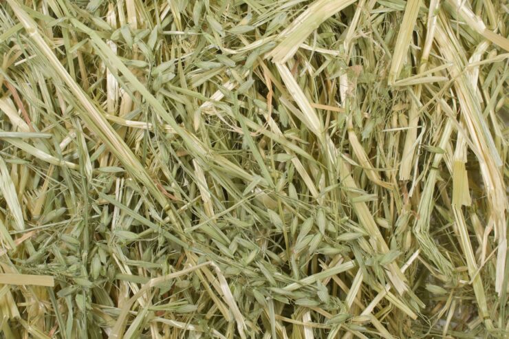 Buy Hay Stacks for Sale | Buy Hay Bales Online | Hay Bales For Sale