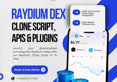 Plurance-Raydium-clone-script