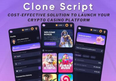 Roobet-clone-script