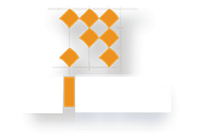 Aims-logo