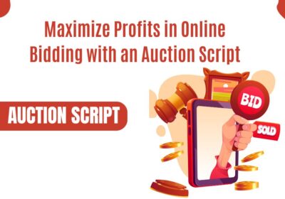 Auction-Script-1