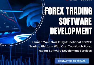 Bizvertex-ForEx-Trading-Software-Development