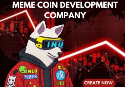 MEME-COIN-DEVELOPMENT-COMPANY-8