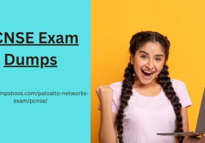 PCNSE-Exam-Dumps