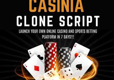 Bizvertex-Casinia-Clone-Script-1