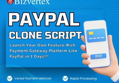 Bizvertex-Paypal-Clone-Script