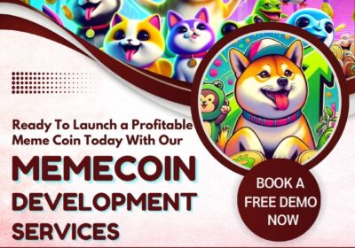 Meme-coin-development