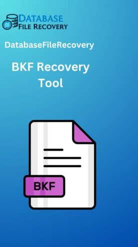 BKF Recovery Tool