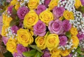 Florist Tarneit – Blossoms Of wyndham