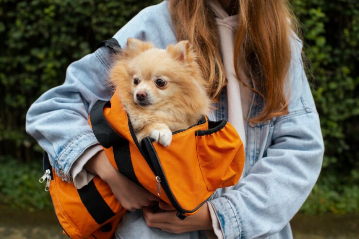 Shop Stylish and Durable Pet Travel Bags