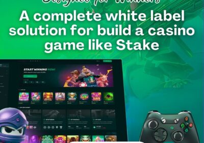 stake-clone-script-2