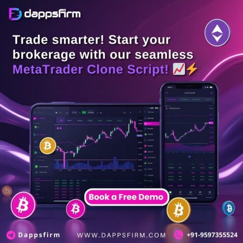Get Your MetaTrader Clone Script with Instant Setup and Quick Launch Features