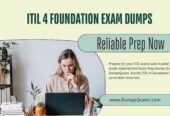 Prepare Like a Pro with ITIL-4-Foundation Dumps at DumpsQueen