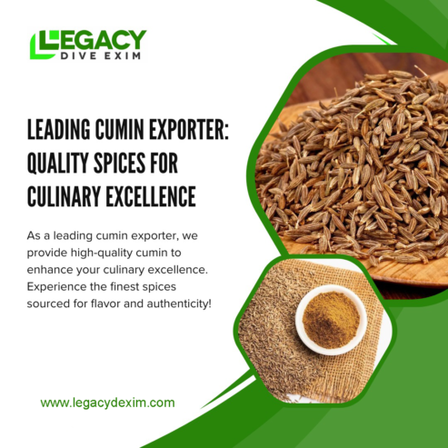 Cumin Exporter in USA | Legacy Dive Exim – Indian Cumin Specialist