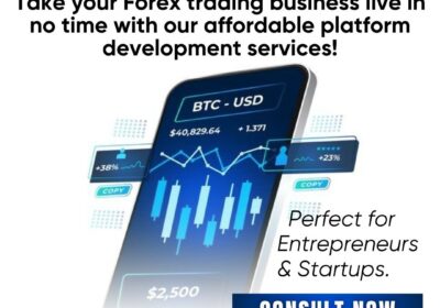 Forex-Trading-platform-development-