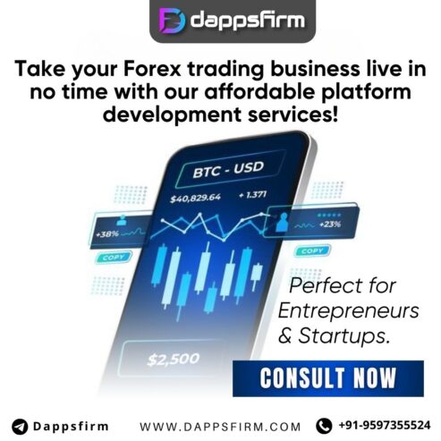 Budget-Smart Forex Platform Development for Rapid Market Entry