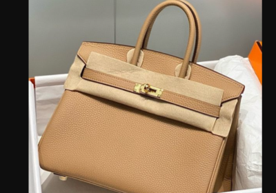Hermes-Birkin-25cm-Bag-In-Chai-Clemence-Leather-GHW