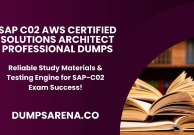 SAP-C02-AWS-Certified-Solutions-Architect-Professional-Dumps-4