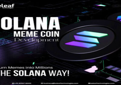 Solana-Meme-Coin-Dev._imresizer